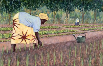 Planting Onions, 2005 by Tilly Willis